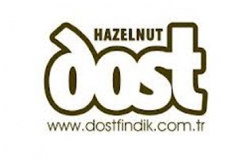 Dost Fındık